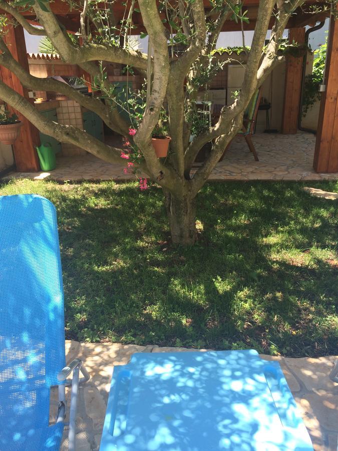 Apartment Fabris With Pool And Location Near Sea Novigrad Istria