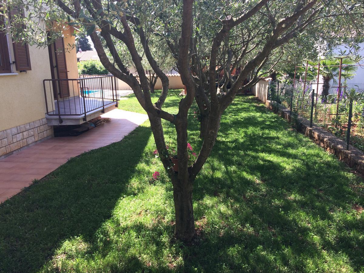 Apartment Fabris With Pool And Location Near Sea Novigrad Istria