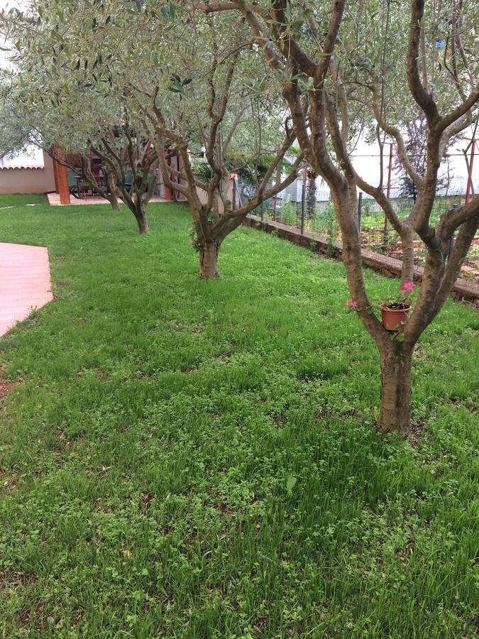 Fabris With Pool And Location Near Sea Apartment Novigrad Istria
