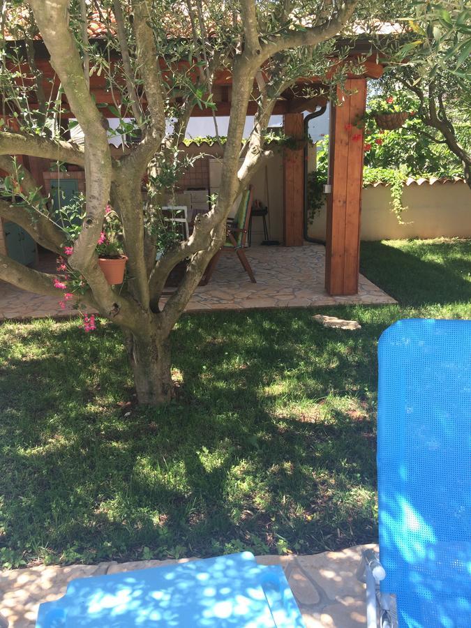 Fabris With Pool And Location Near Sea * Novigrad Istria